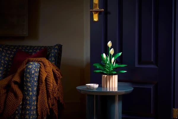 LEGO Botanicals 11504 Spathiphyllum, 474 dele