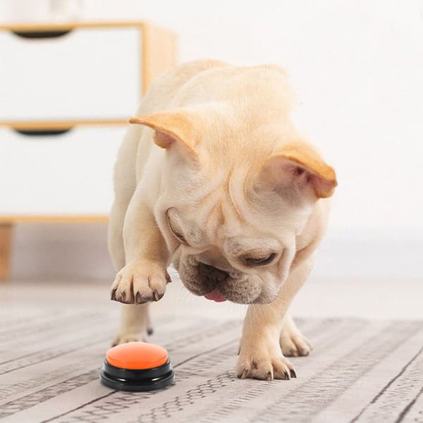 Sæt med 4 kommunikationsknapper til hunde TALKER