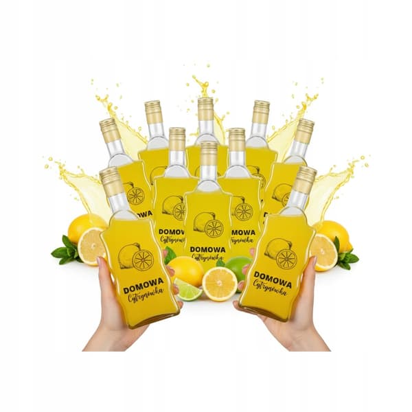 10x Wave-flaskor 500ml tryckta hemgjorda citronvodka-glasflaskor för likörer