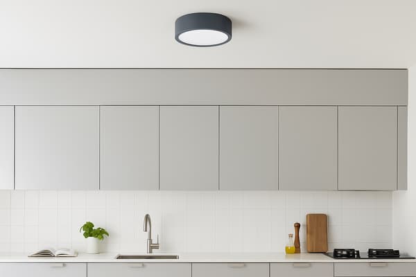 Loftlampe LEJA Plafon 275 anthracit til stue køkken badeværelse stilfuld