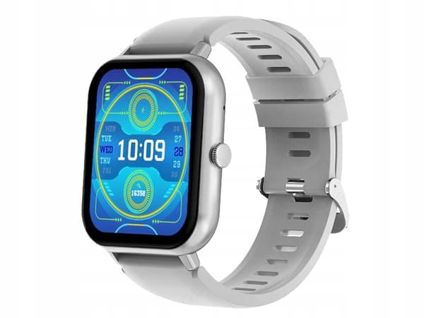 Smartwatch ZL54CJ ur grå (50) GAB_A