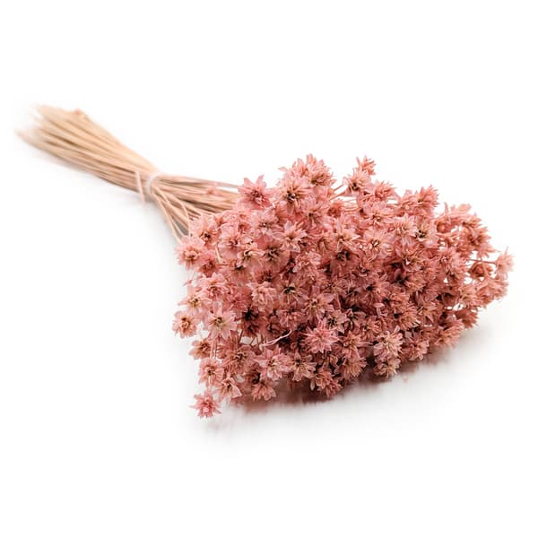 Kukkakukka - Vaaleanpunainen
