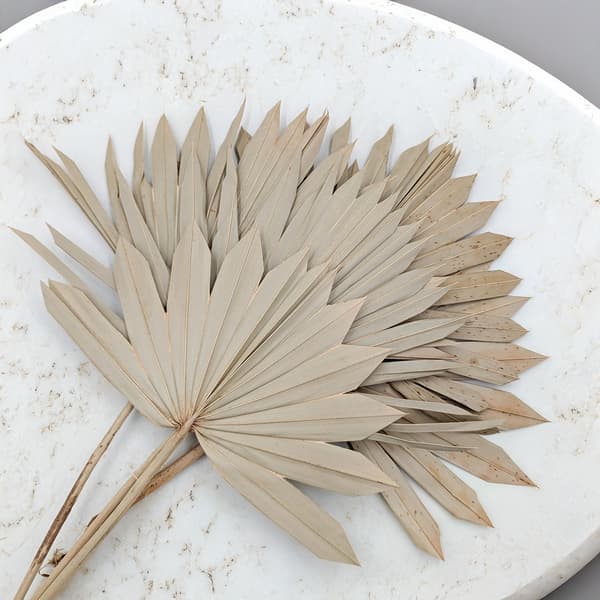 Palme Sol - Naturlig