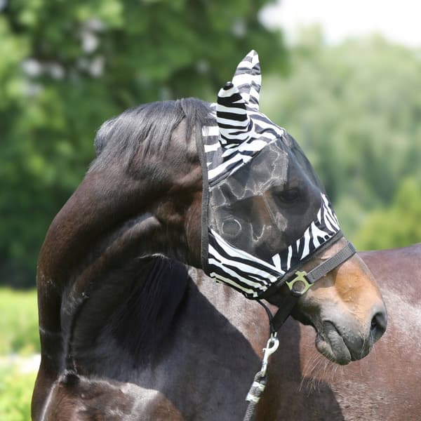 York Zebra Cob -kärpäsmaski - Mukava ja tehokas