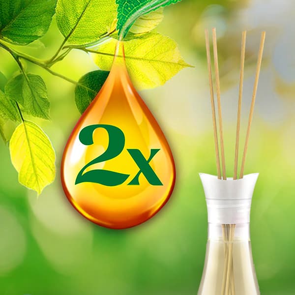 018994 Air Wick Duftpinde Blå Eukalyptus og Cedertræ 42ml