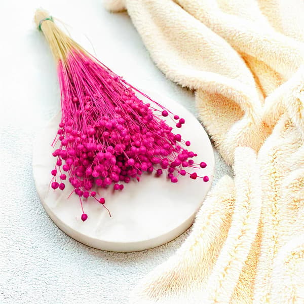 Tørret hørfrø - Fuchsia