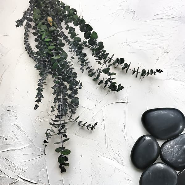 Stabiliseret eukalyptus - baby - grøn