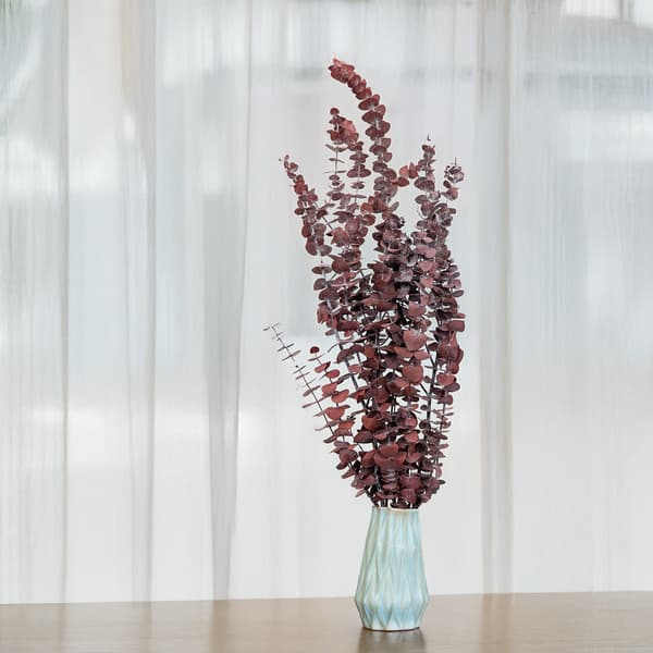 Stabiliseret eukalyptus - baby - rød