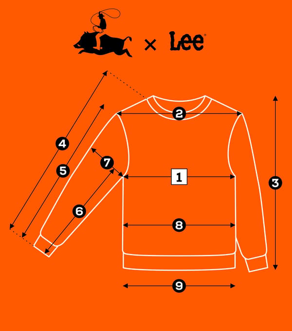 Lee FLAG CREW Akademi Blå blå bomulds herretrøje med logo M