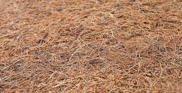 MADRAS I KOKOSSKUM 120x60 (9cm)