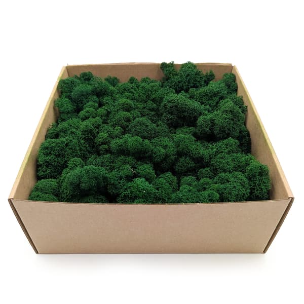 Renmossa - Alpin - Rensad - Skogsgrön 500g NETTO