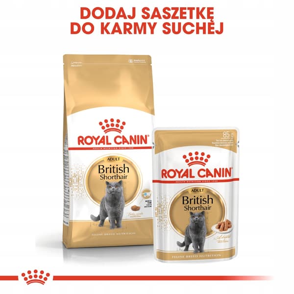 Royal Canin FBN British Shorthair tørfoder til katte 4 kg