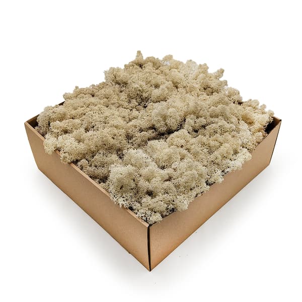 Renmossa - Norge - Naturvit 50g