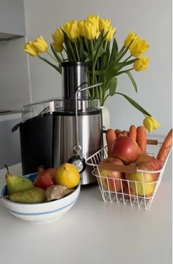 MPM MSO-18M 1000W juicer, kapacitet 1 l, rustfrit stål