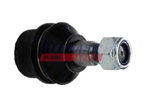 FT17028 SNABB SVÄNGARMSPINNE