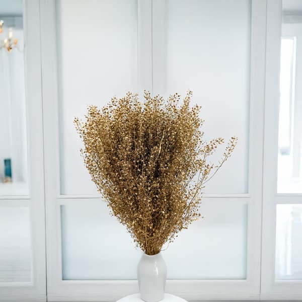 Lepidium (Lepidium sativum) - Kultainen