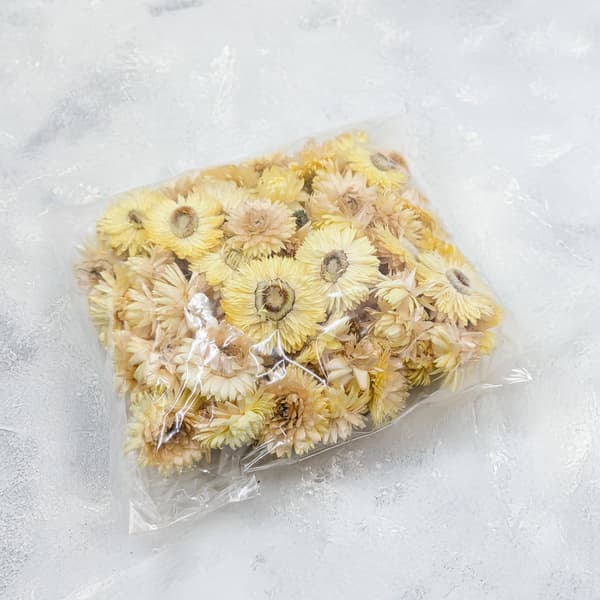 Tørrede Helichrysum - Hoveder - (Helichrysum) - Citron