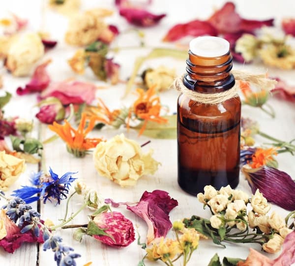 Spiselige blomster Kornblomst 10g tørrede kronblade