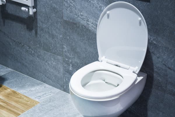 PP GYNGET TOILET SÆDE