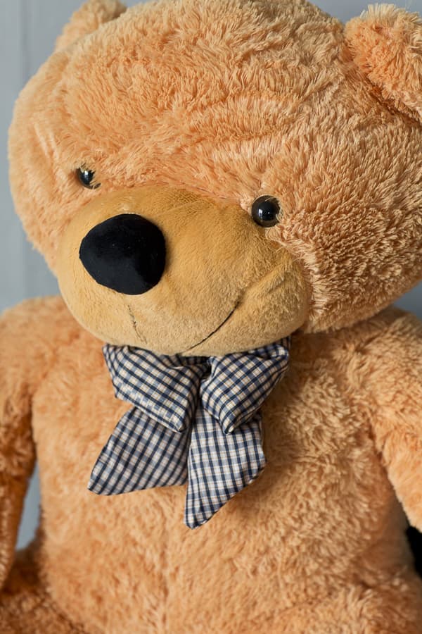 Teddy Classico 160cm - hunaja