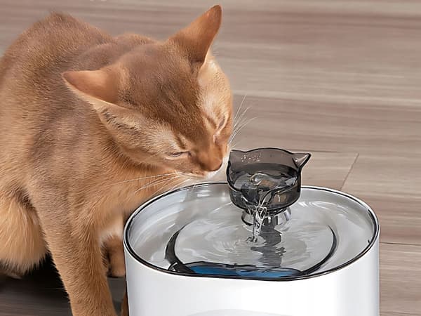 Automatisk dispenser med sensor (32)