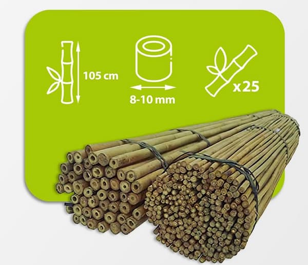 Bambukepit 105 cm 8/10 mm /25 kpl/