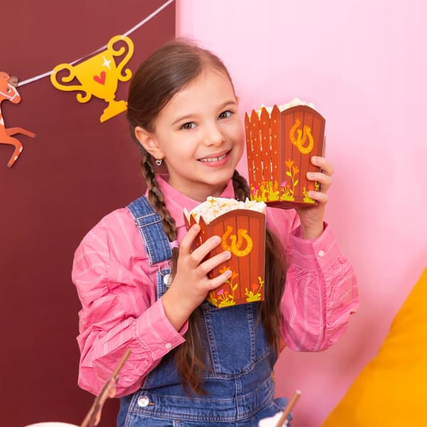 Popcornlådor hästar födelsedag 6 st