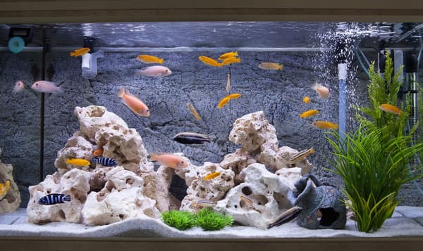 LED-akvarielampa AQUALED 45cm COB I