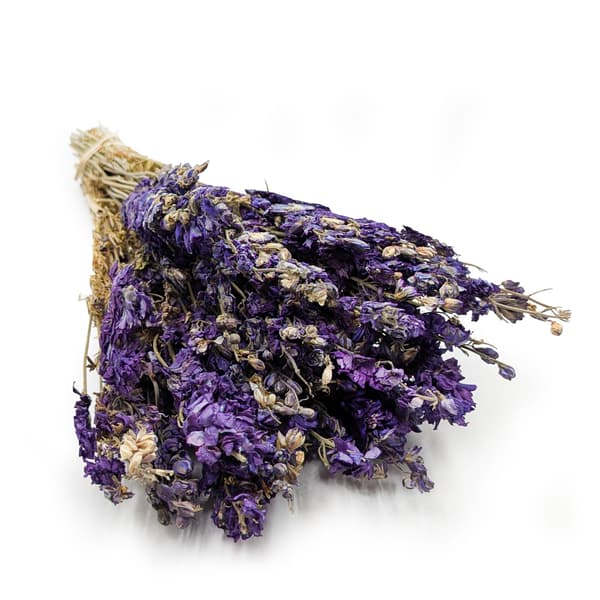 Tørret Delphinium - (Delphinium) - Blå