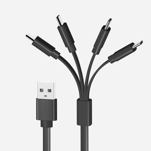 LiiBattaries USB-C 4-i-1 avsedd för LITIUMJONBATTERIER 19 cm snabb