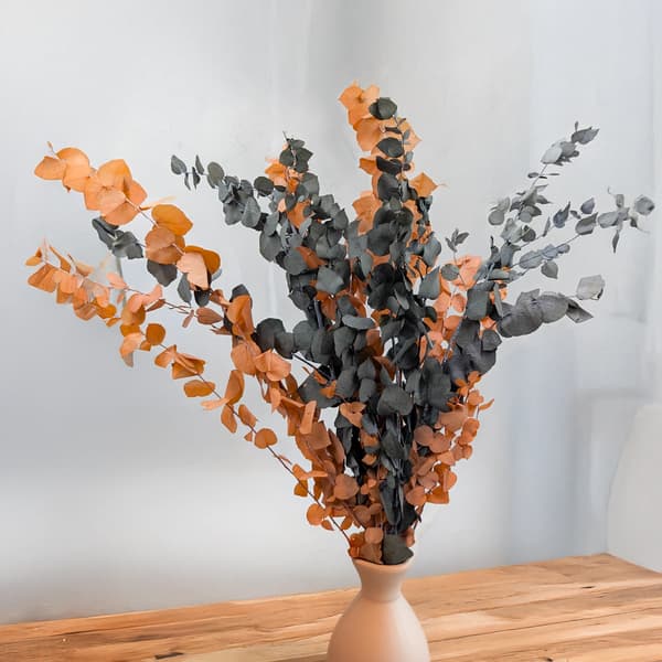 Stabiliseret eukalyptus - Stuartiana - Halloween