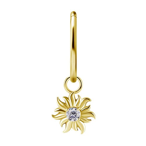 Berlocker CoCr NF sol vit premiumzirkonia guld D-054
