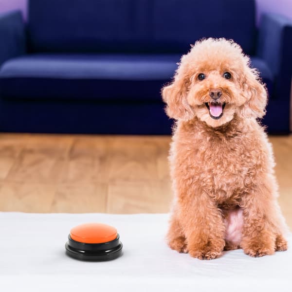 Sæt med 4 kommunikationsknapper til hunde TALKER