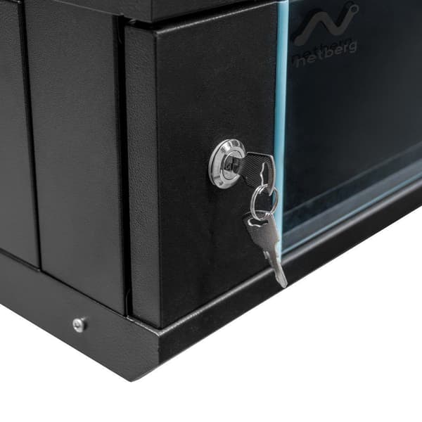 Netberg 19" 6U 300x600x400 væghængt server rack sort