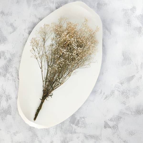 Stabiliserad Gypsophila - Naturvit