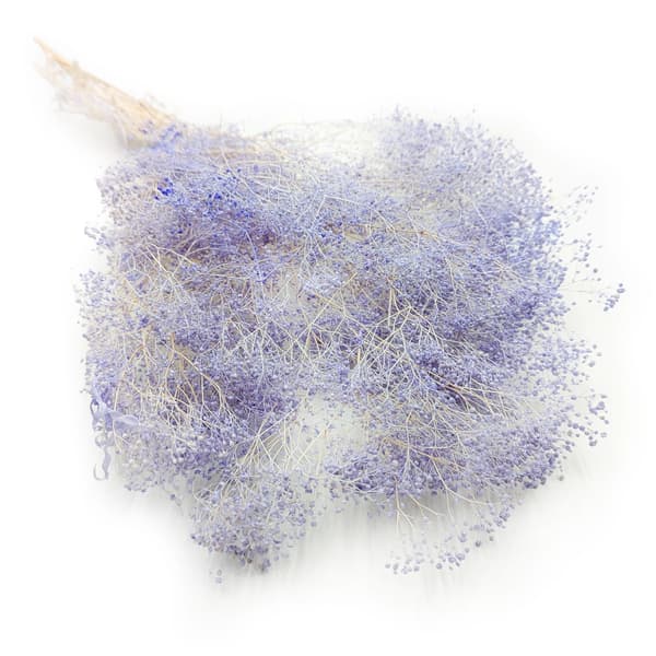 Mini Stabiliserad Gypsophila - Lavendel