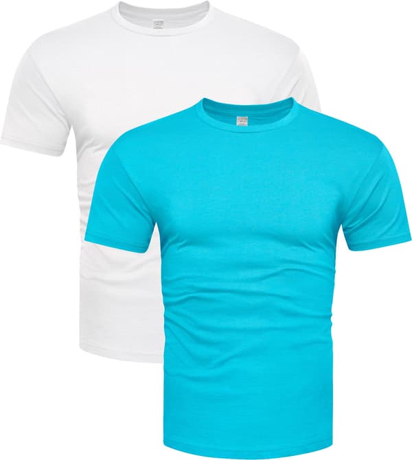 2-pak premium bomulds t-shirts hvide og blå - L