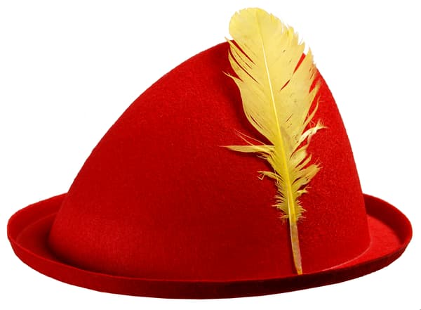 Pinokkion hattu 1 kpl.