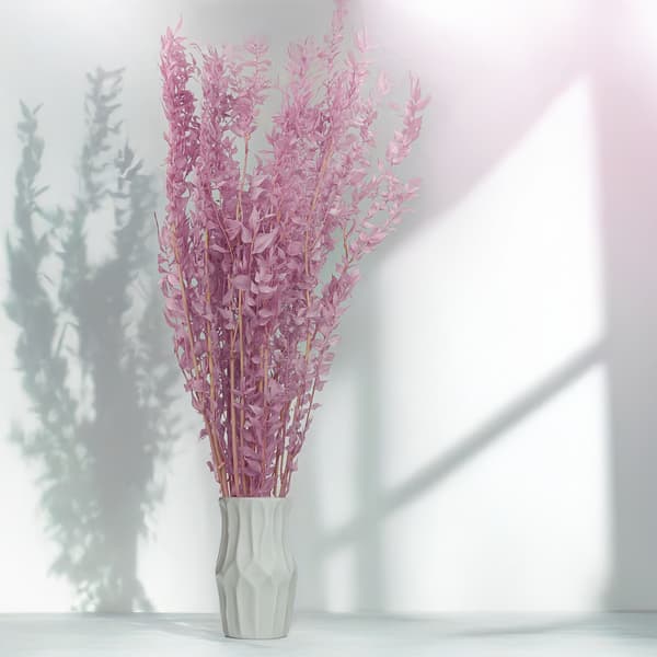 Stabiloitu Ruscus - (Ruscus) - Kanerva