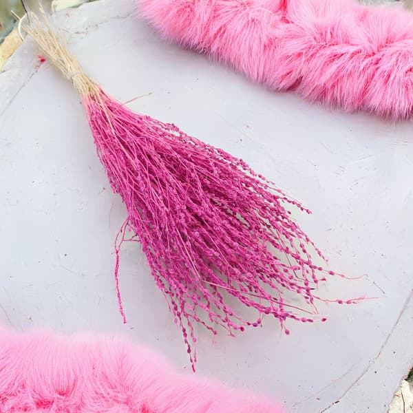 Lepidium (Lepidium sativum) - Fuksia