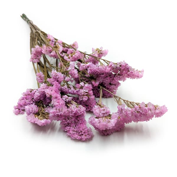 Stabiliseret Limonium sinuatum - Pink