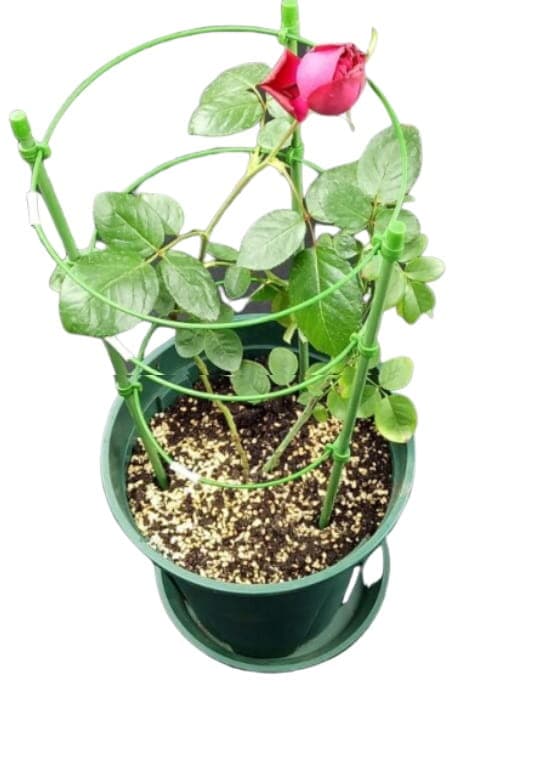 Rund metalstøtte 60 cm (til planter)
