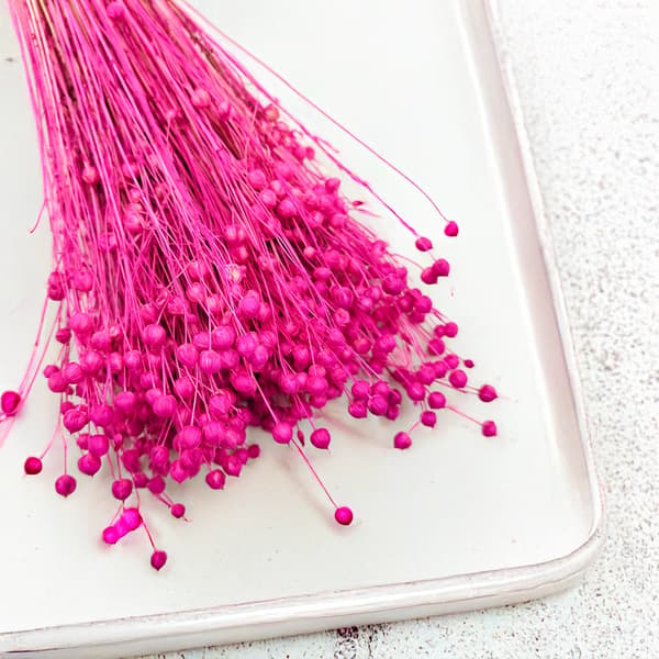 Tørret hørfrø - Fuchsia