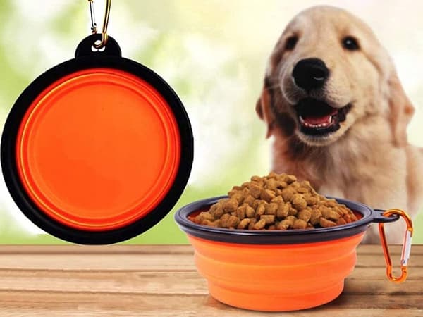 Foldbar skål til hund L orange (200) GAB_A