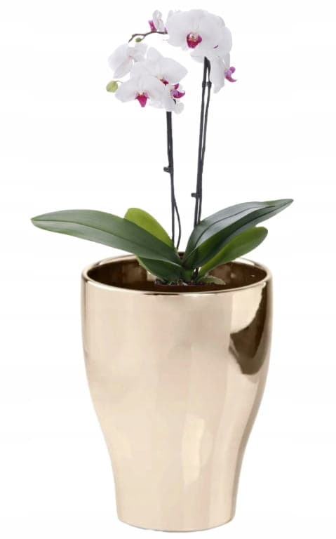 Rund blomkruka i keramik, guld, 17 cm