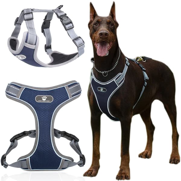 ASTRO marinblå hundträningssele, storlek XL