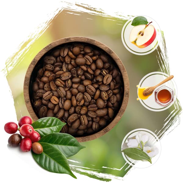 Kaffebönor CAFEIERE Arabica Peru HB EP 500 g