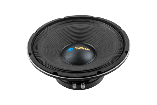 DBS Högtalare 12" PS1205-8