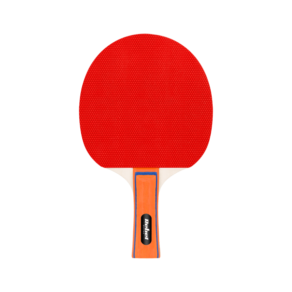 Rebel Active pöytätennismailan setti verkolla