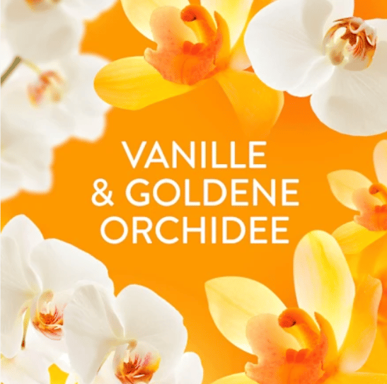 Lenor Goldene Orchidee Płyn do Płukania  36 prań